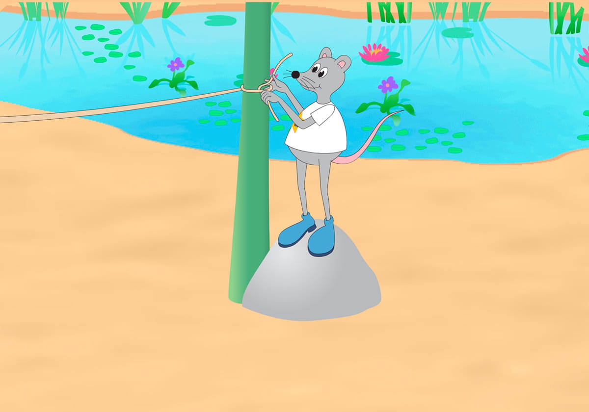 Zac stands on a rock to tie the rope high on the tree.